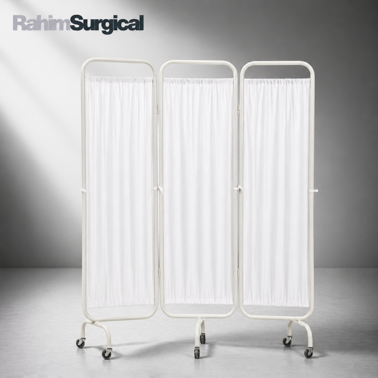 Screen stand partition (ms body)